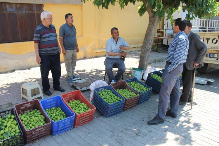 Kilosu 500 TL’den satılıyor, olmazsa olmaz Bu pazar tezgahında meyve değil milyonlarca sinek satılıyor