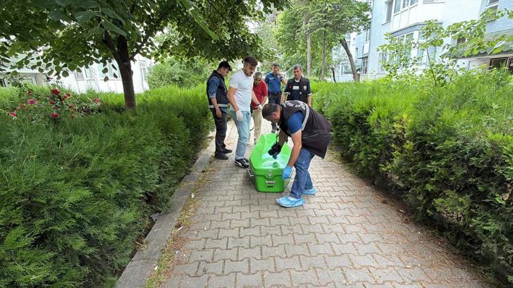 Üvey kızı cansız bedenini buldu Ne hastaneye gitti, ne oy verdi: 78 yıllık gizemli ömür