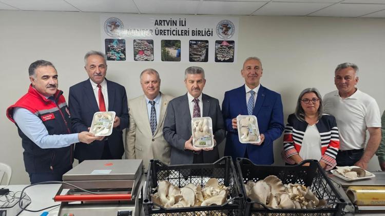Karanlık tünelden bereket taştı Artvinde bir ilk: Kilosu resmen altınla yarışıyor