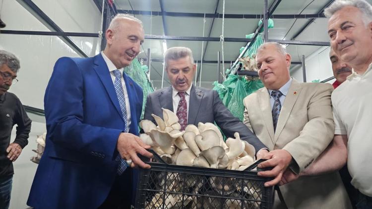Karanlık tünelden bereket taştı Artvinde bir ilk: Kilosu resmen altınla yarışıyor