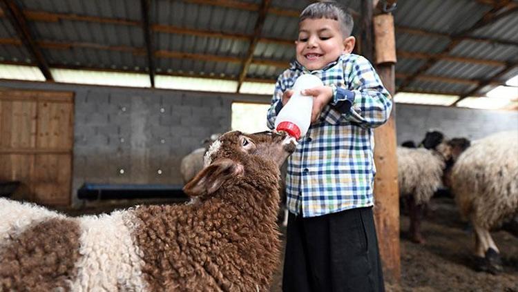 Bir koyun alamazken sürü sahibi oldular ‘Hadi Gel Köyümüze Destek Verelim’ projesi