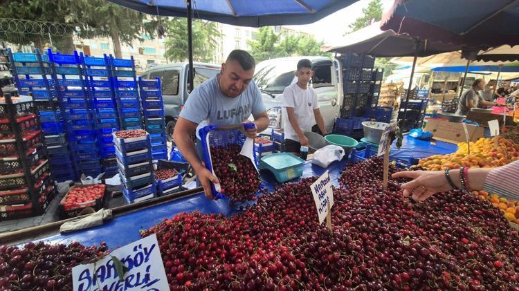 Festival fiyatı 300 TL olarak belirlenmişti, kilosu 70 TLye kadar düştü Bu sene bolluk var, herkes yesin