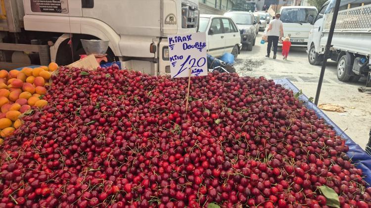 Festival fiyatı 300 TL olarak belirlenmişti, kilosu 70 TLye kadar düştü Bu sene bolluk var, herkes yesin