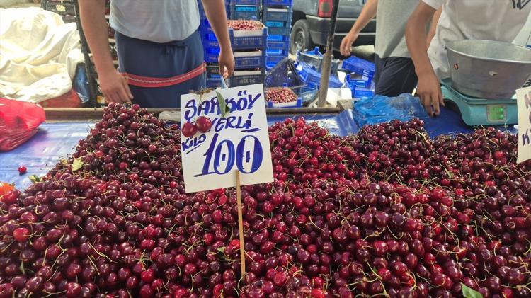Festival fiyatı 300 TL olarak belirlenmişti, kilosu 70 TLye kadar düştü Bu sene bolluk var, herkes yesin