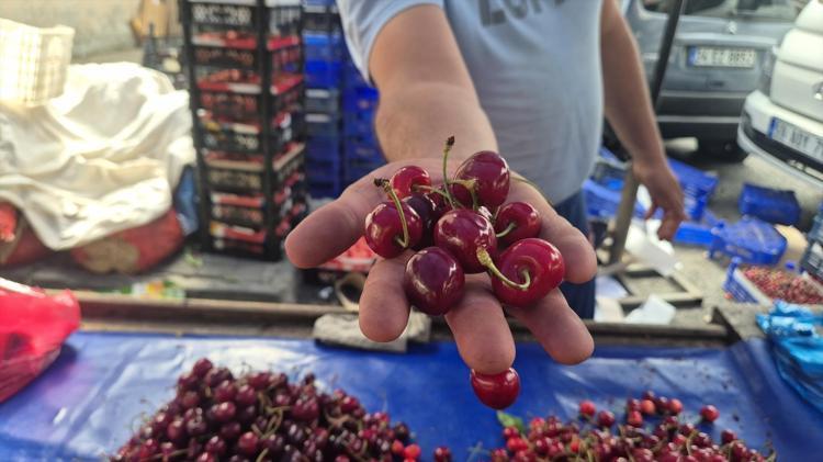 Festival fiyatı 300 TL olarak belirlenmişti, kilosu 70 TLye kadar düştü Bu sene bolluk var, herkes yesin