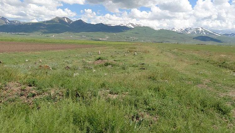 Toprakta altın gömülü söylentisi kulaktan kulağa yayıldı Defineciler 200 yıllık mezarlıkları talan etti