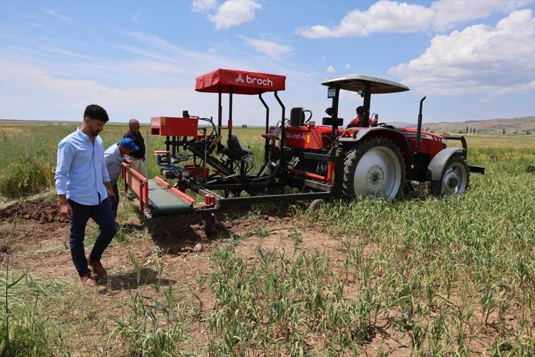 Almanya ve Rusya’nın ardından İspanya’dan büyük hamle Aksarayda üretilip kilo kilo satılacak, dünyanın en iyisi