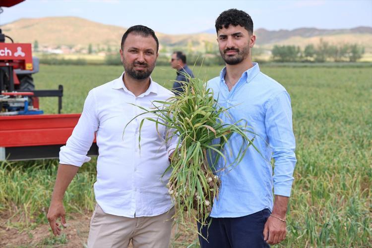 Almanya ve Rusya’nın ardından İspanya’dan büyük hamle Aksarayda üretilip kilo kilo satılacak, dünyanın en iyisi