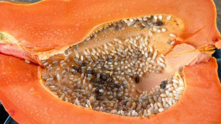 Salatasını yapıp kaşık kaşık yiyin Kalp-damar sağlığına iyi gelen bir numaralı besin