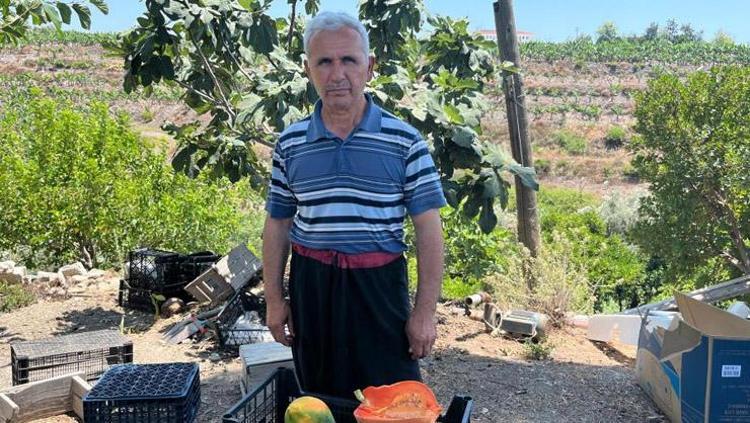 Salatasını yapıp kaşık kaşık yiyin Kalp-damar sağlığına iyi gelen bir numaralı besin
