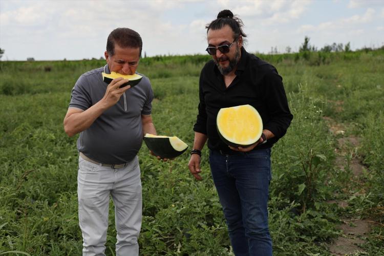 Hasadı başladı, rengini g&ouml;ren şaşkına d&ouml;n&uuml;yor Kilosu 30 TLden satılıyor, d&ouml;n&uuml;m&uuml;nde 7 ton &uuml;r&uuml;n veriyor