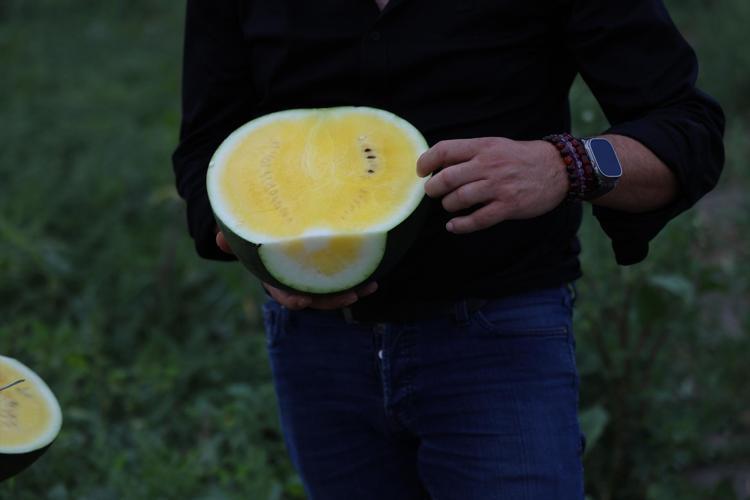 &Uuml;R&Uuml;N&Uuml;N SER&Uuml;VENİ &Ccedil;OK ESKİ