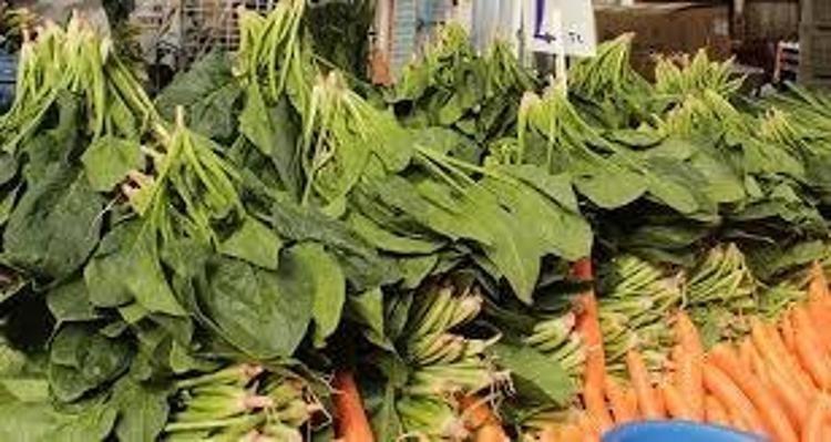 KALP SAĞLIĞINDAN GÖZ SAĞLIĞINA KADAR HER DERDE DEVA