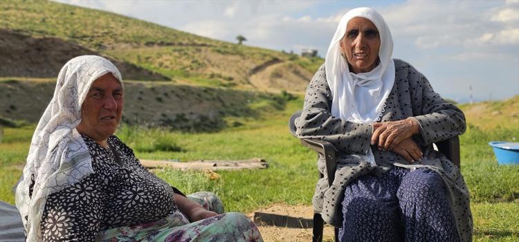 Lezzetinin sırrı dağlarda saklı Tilki saldırısı da hastalıklar da onları durduramıyor: Tam bir şifa ambarı