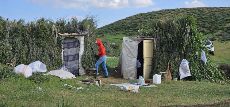 Lezzetinin sırrı dağlarda saklı Tilki saldırısı da hastalıklar da onları durduramıyor: Tam bir şifa ambarı