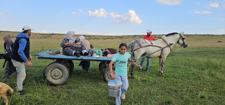 Lezzetinin sırrı dağlarda saklı Tilki saldırısı da hastalıklar da onları durduramıyor: Tam bir şifa ambarı
