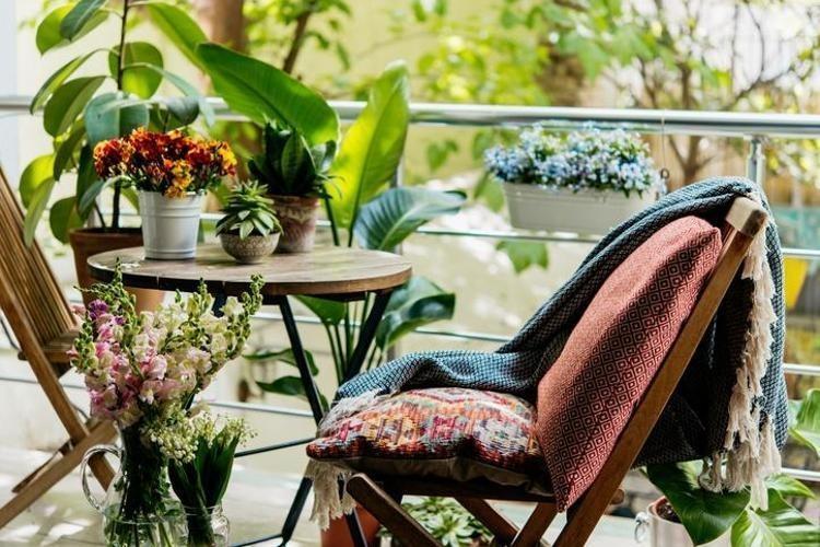 Saksılardaki kuruyan topraklar ve sarkan yapraklar canınızı sıkmasın Çiçek uzmanı Lucy Hook açıkladı