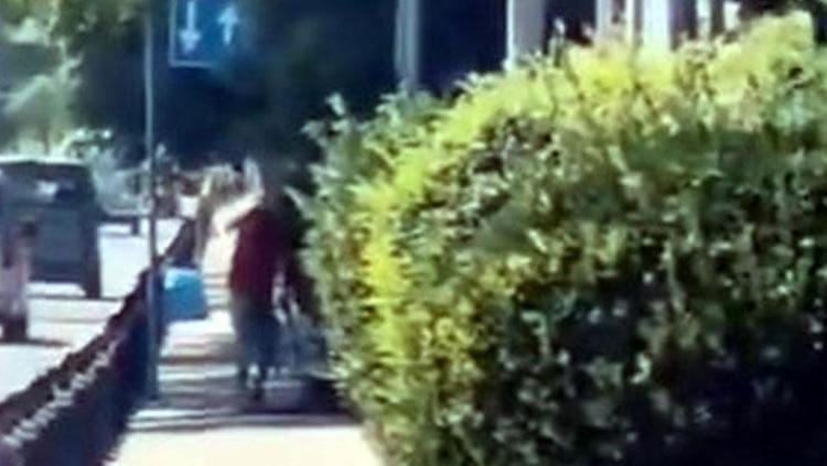 Avcılarda vicdanları sızlatan görüntü Köpeğe böyle şiddet uyguladı