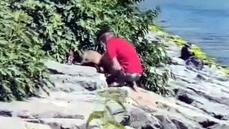 Avcılarda vicdanları sızlatan görüntü Köpeğe böyle şiddet uyguladı
