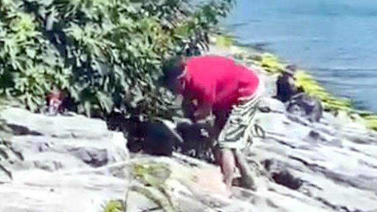 Avcılarda vicdanları sızlatan görüntü Köpeğe böyle şiddet uyguladı