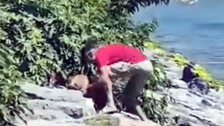 Avcılarda vicdanları sızlatan görüntü Köpeğe böyle şiddet uyguladı