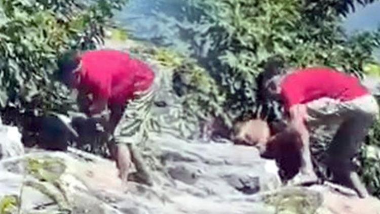 Avcılarda vicdanları sızlatan görüntü Köpeğe böyle şiddet uyguladı