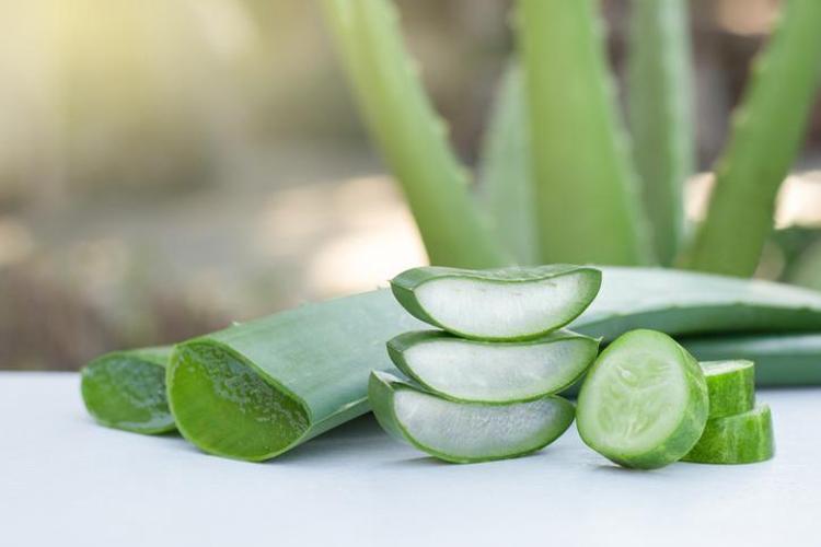 3. ALOE VERA VE SALATALIK MASKESİ (SERİNLETİCİ VE ÖDEM AZALTICI)