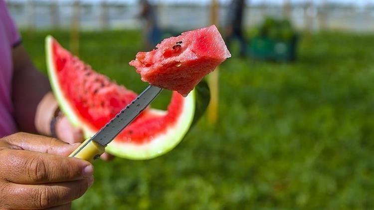 Karpuz alırken paranızı çöpe atmayın Yılların üreticisi en iyi karpuzu seçme sırrını verdi