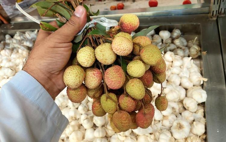 Çiftçiler yeni gözdesini buldu Toprağına bunu eken kısa sürede köşeyi dönüyor
