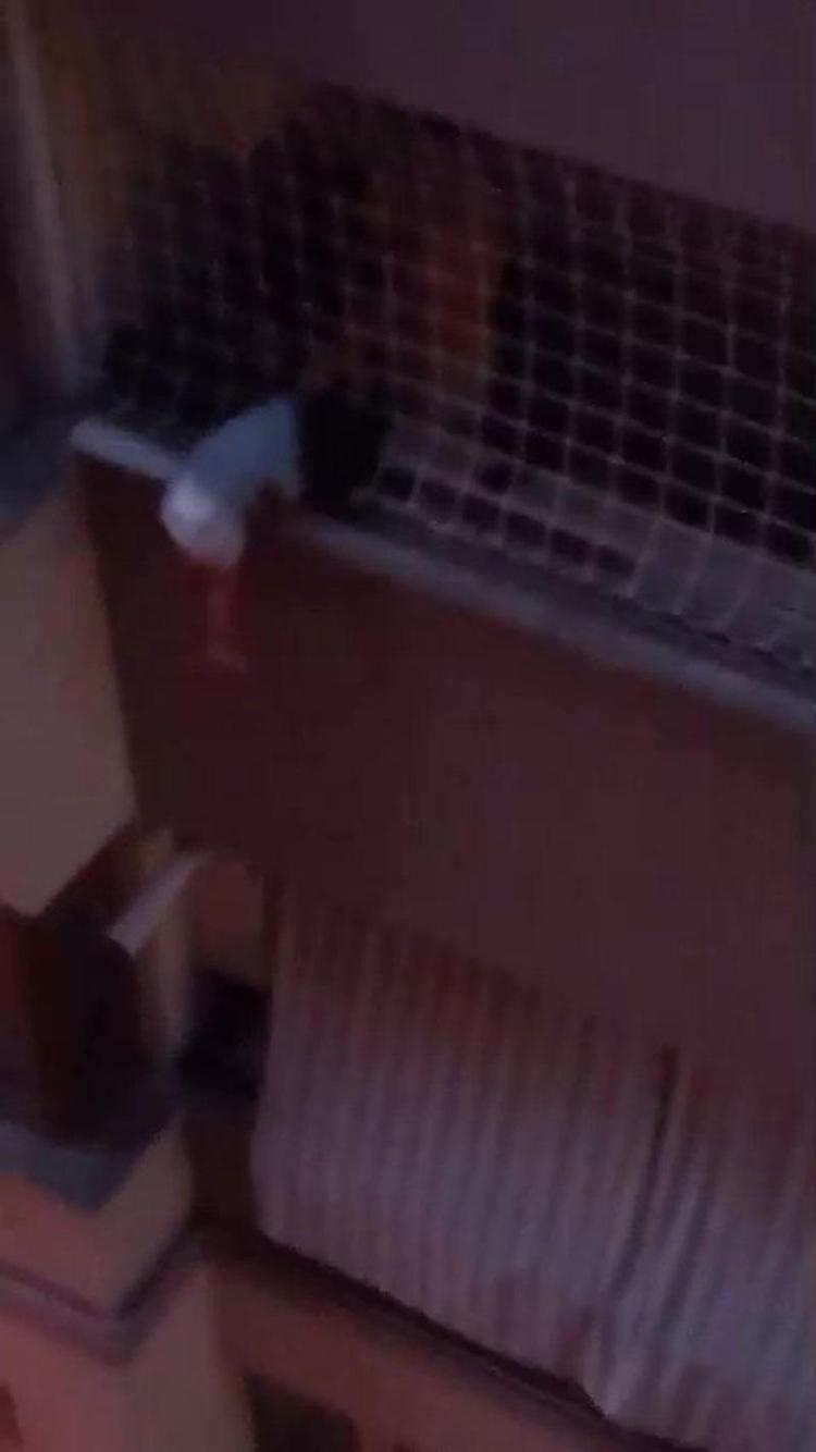 Denizlide korku dolu anlar Çığlıklar arasında zamanla yarış: Ben ölürüm de onu kurtarırım