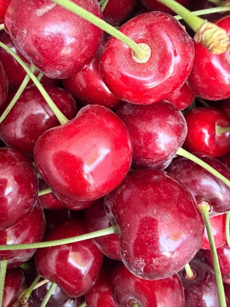 Dünyaca ünlü lezzette hasat başladı ama üretici dertli Kilosu 60 TL: Vücuttaki iltihabı kurutuyor