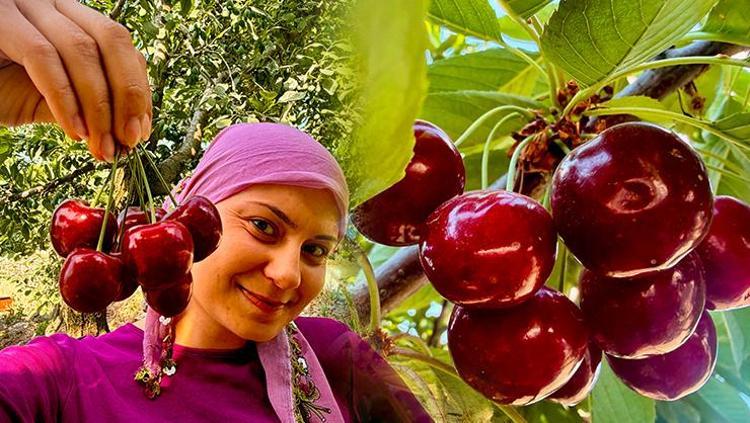 Dünyaca ünlü lezzette hasat başladı ama üretici dertli Kilosu 60 TL: Vücuttaki iltihabı kurutuyor
