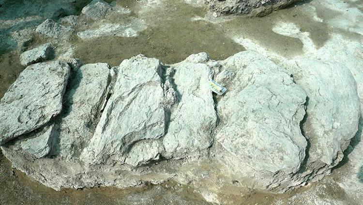 Taşlar kaldırıldı, 1000 yıllık sır ortaya çıktı Muşta heyecanlandıran keşif