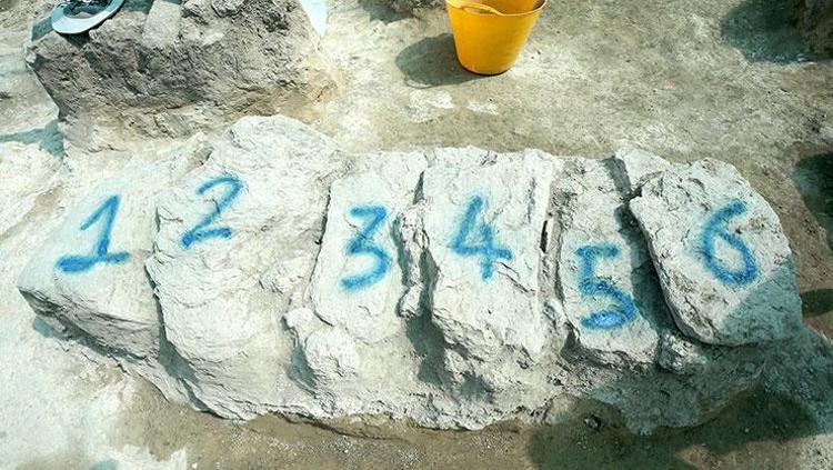 Taşlar kaldırıldı, 1000 yıllık sır ortaya çıktı Muşta heyecanlandıran keşif