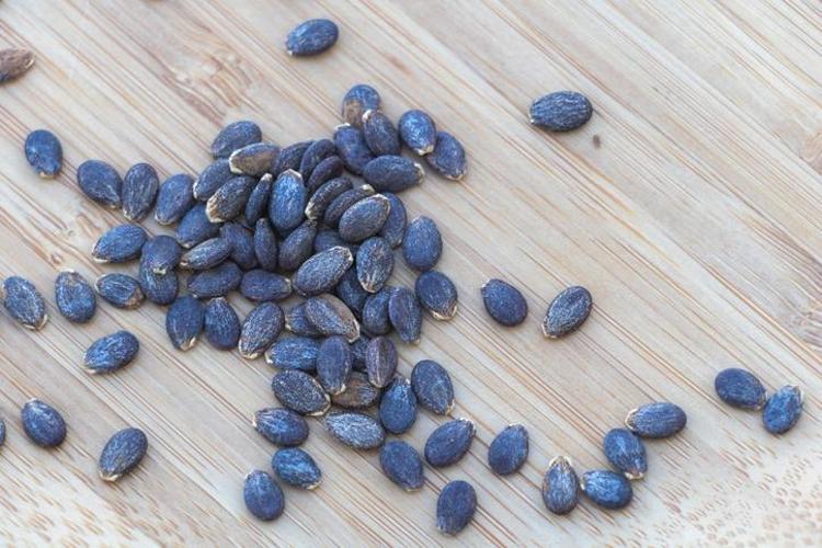 Bu meyvenin çekirdeği kalbi koruyor Sakın çöpe atmayın, yararları saymakla bitmiyor