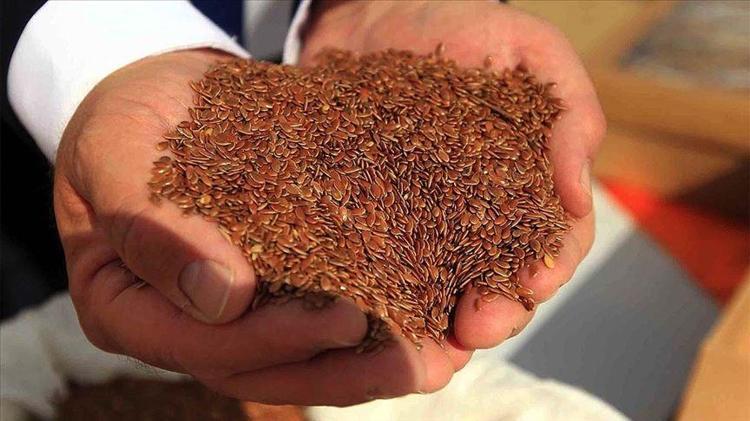 KÖTÜ KOLESTEROLE KARŞI DOĞAL DESTEK