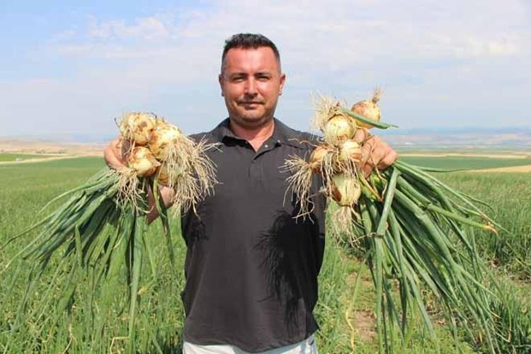 SOĞAN BİR BARDAK ÇAYDAN UCUZ