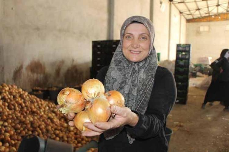 Eskiden 1 çuvalıyla çeyrek altın alınırdı Şimdi ise kilosu 15 TLden çuval çuval satılıyor