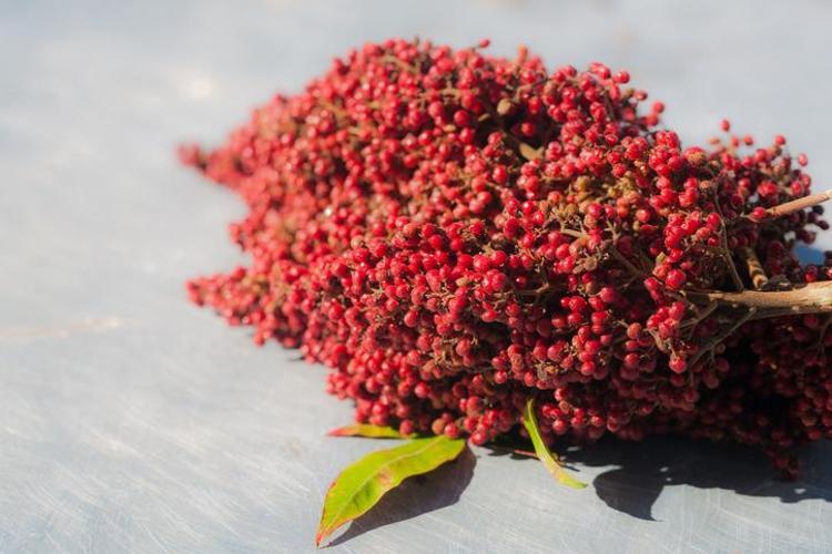Bardaktaki doğal antibiyotik Her gün 1 bardak içmek yetiyor, karaciğeri resmen baştan yaratıyor