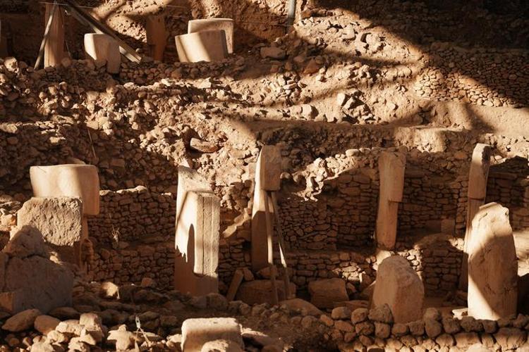 BİR ÇİFTÇİNİN KEŞFİ EZBERLERİ BOZDU