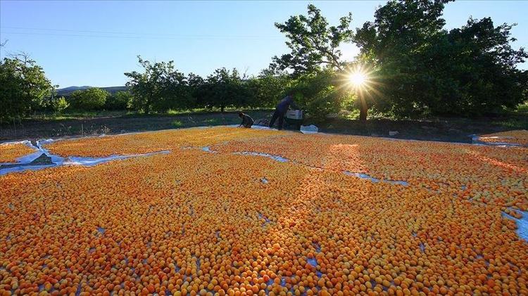 KALİTEYİ KORUMAK İÇİN 24 SAATLİK ÖZEL DİNLENME ODALARI