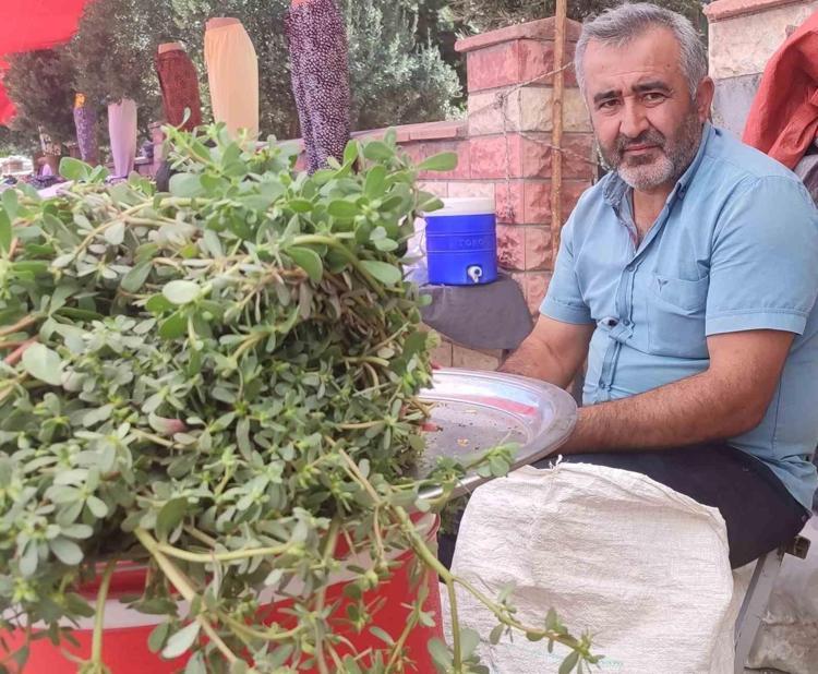 DAMARLARI ADETA BİR SÜPÜRGE GİBİ SÜPÜRÜR: