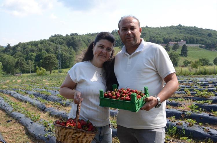 Hobi olarak başladı, şimdi siparişlere yetişemiyor 2 dönümle girdiği sektörde 42 dönüme ulaştı, pazarda satacak kadar bile kalmıyor