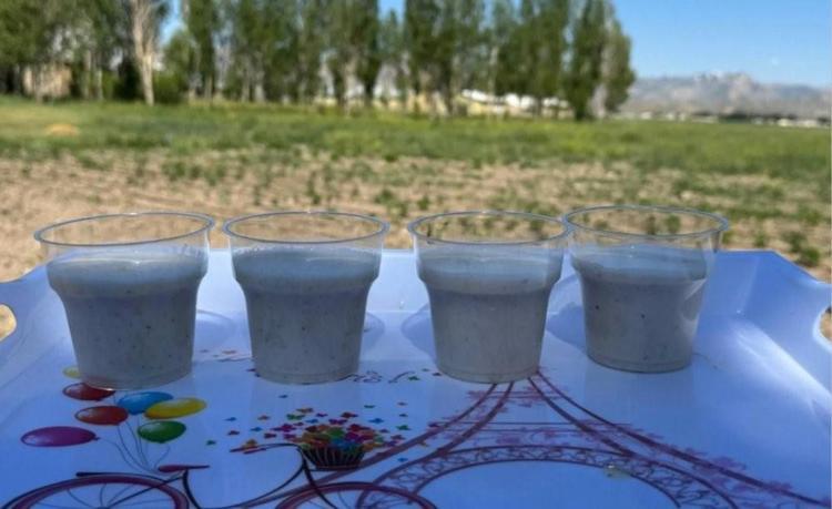 Buralarda asla yetişmez deniliyordu: Bir tanesini eken tam 4 katını alıyor: O köyde yeni bir servet kapısı açıldı