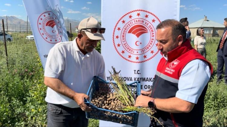 Buralarda asla yetişmez deniliyordu: Bir tanesini eken tam 4 katını alıyor: O köyde yeni bir servet kapısı açıldı
