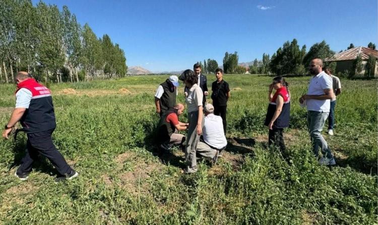 BİR YUMRU EKEN TAM DÖRT KATINI ALIYOR