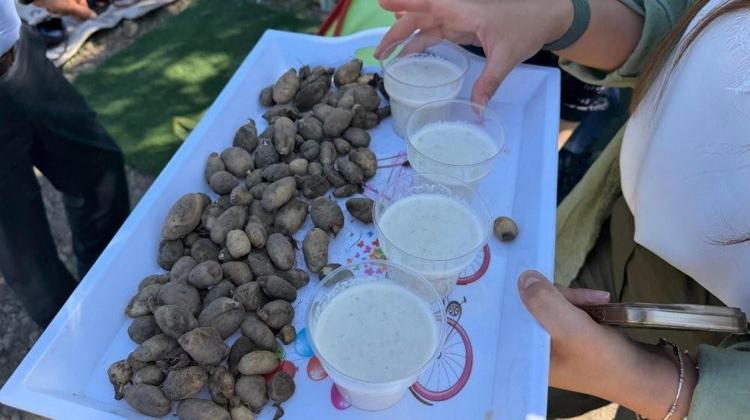 Buralarda asla yetişmez deniliyordu: Bir tanesini eken tam 4 katını alıyor: O köyde yeni bir servet kapısı açıldı