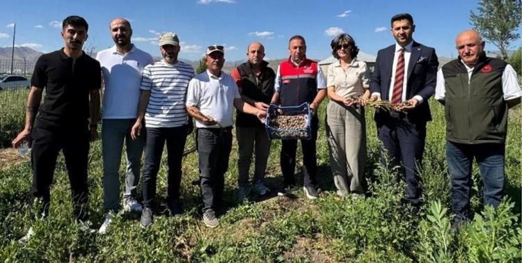 Buralarda asla yetişmez deniliyordu: Bir tanesini eken tam 4 katını alıyor: O köyde yeni bir servet kapısı açıldı