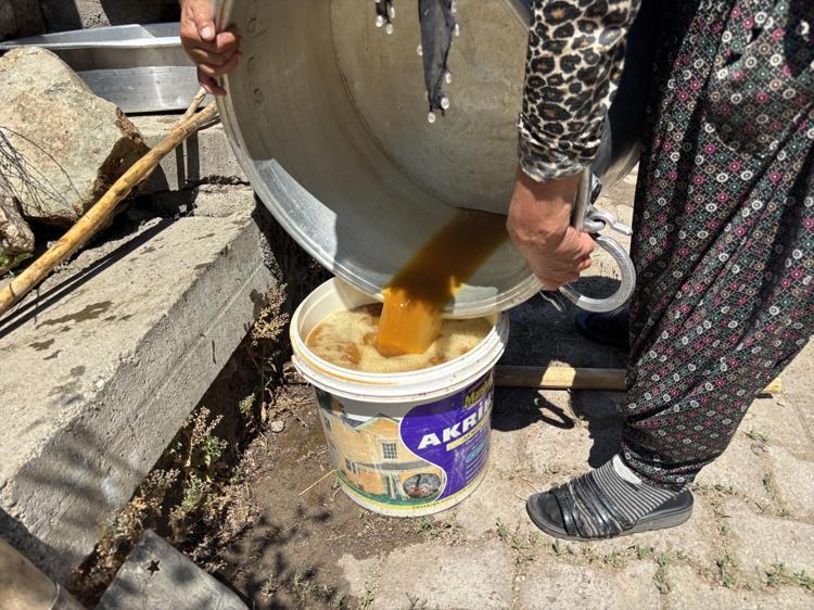 Tek bir gramı bile ziyan edilmiyor Tepsilerle güneşe serilen doğal şifa kaynağının zorlu yolculuğu