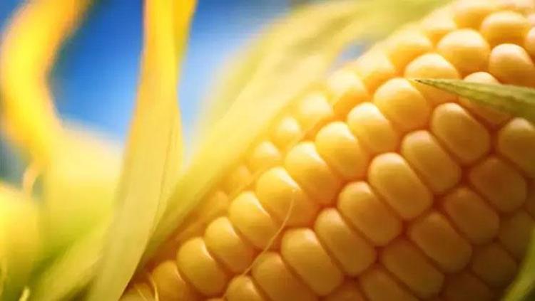 TUZ EN SONDA, ŞEKER VE TEREYAĞI EN BAŞTA